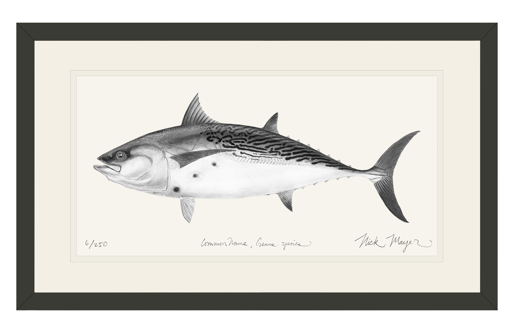 False Albacore III Limited Edition Print (B&W)
