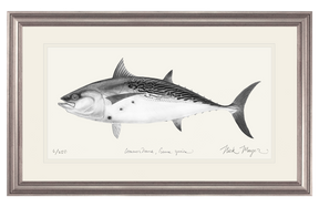 False Albacore III Print (b&w)