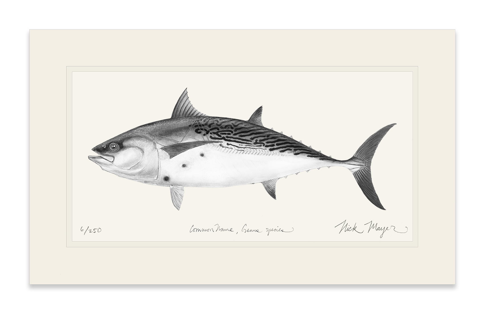 False Albacore III Limited Edition Print (B&W)