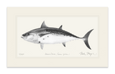False Albacore III Print (b&w)