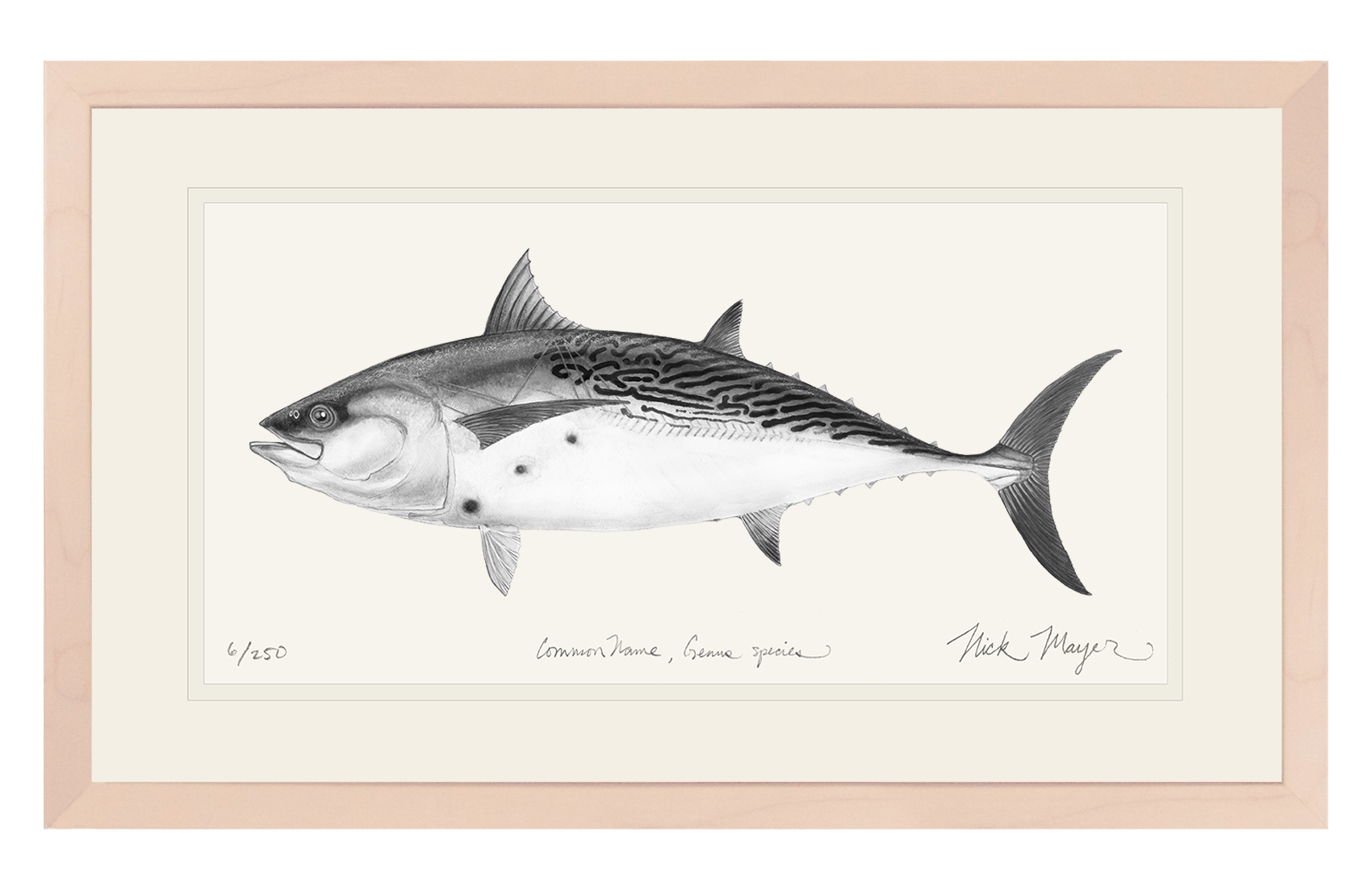 False Albacore III Limited Edition Print (B&W)