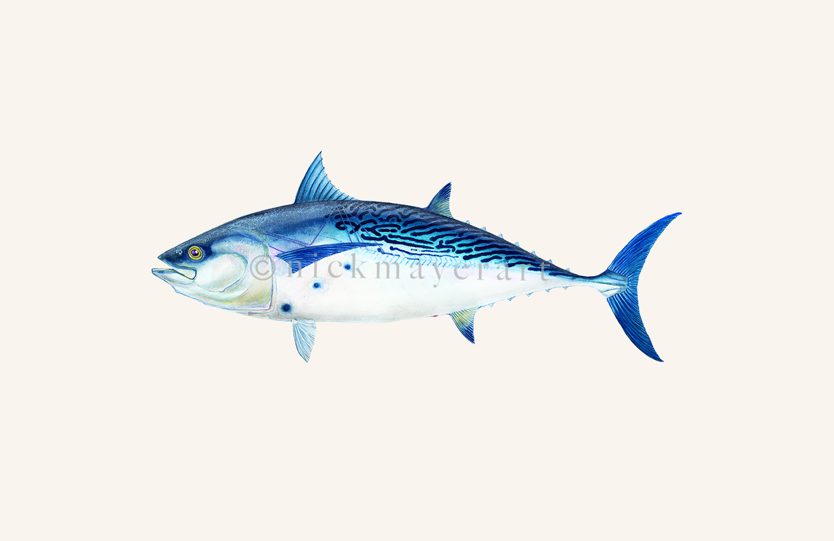 watermark