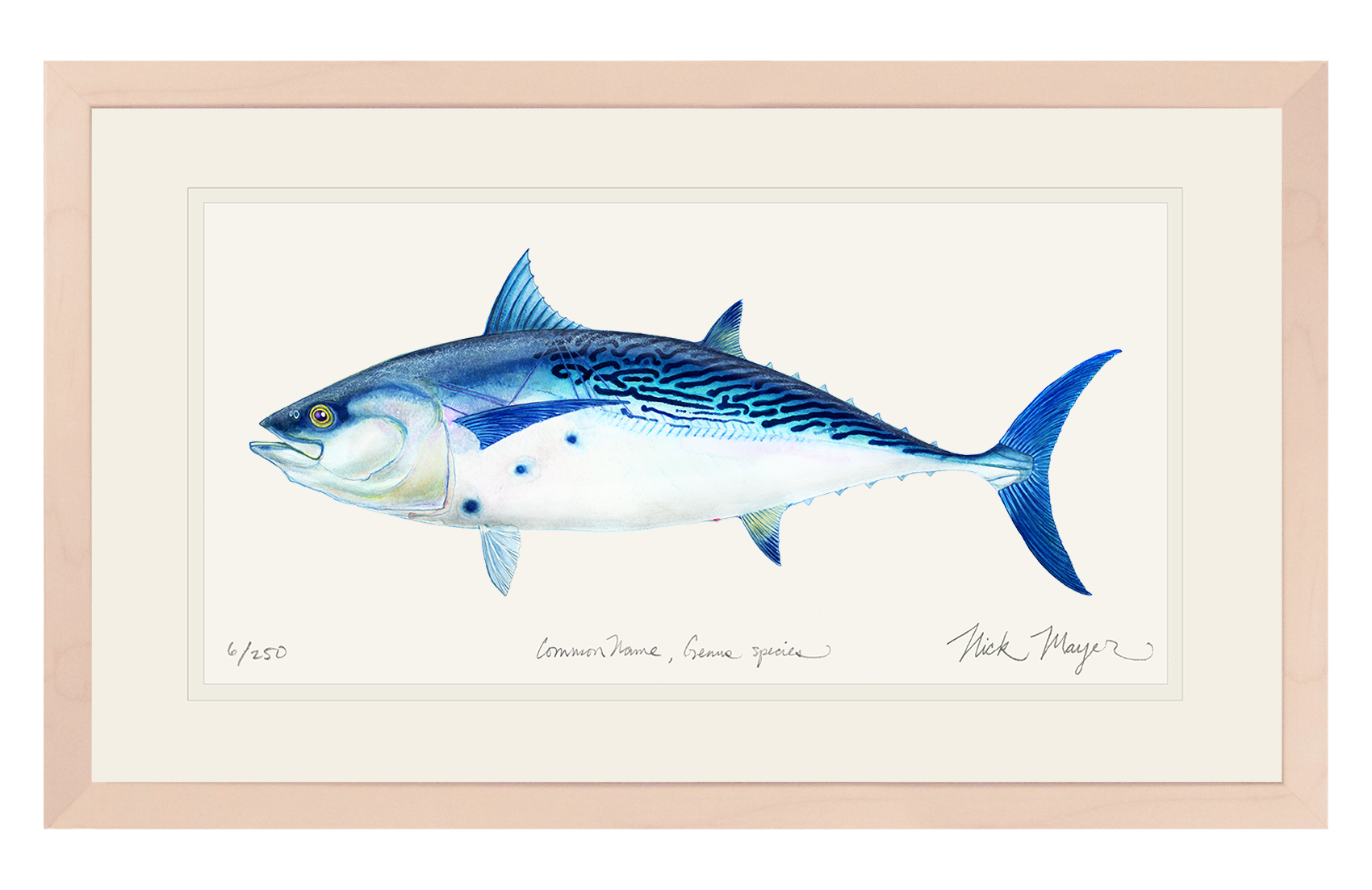 False Albacore II Limited Edition Print