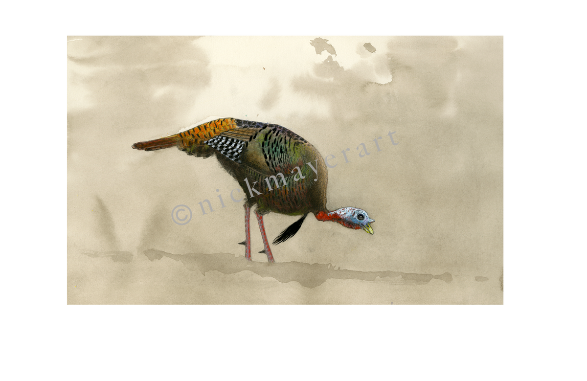 watermark