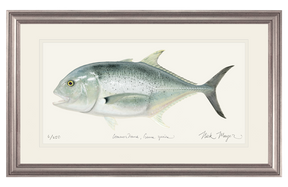Giant Trevally 1 Print