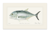 Giant Trevally 1 Print