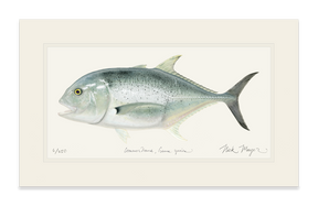 Giant Trevally 1 Print