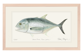 Giant Trevally 1 Print