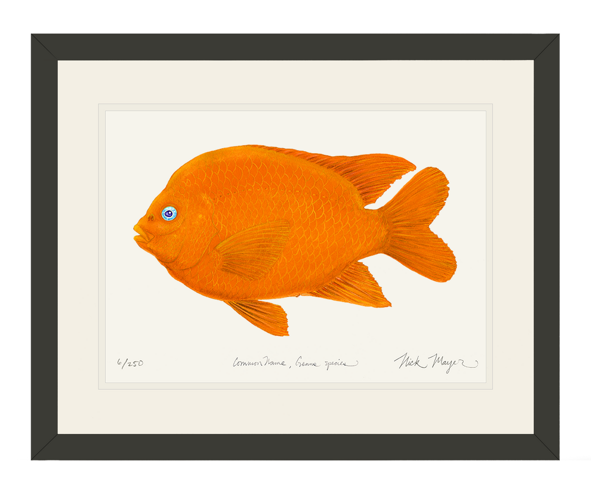 Garibaldi I Print