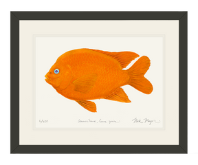Garibaldi I Print
