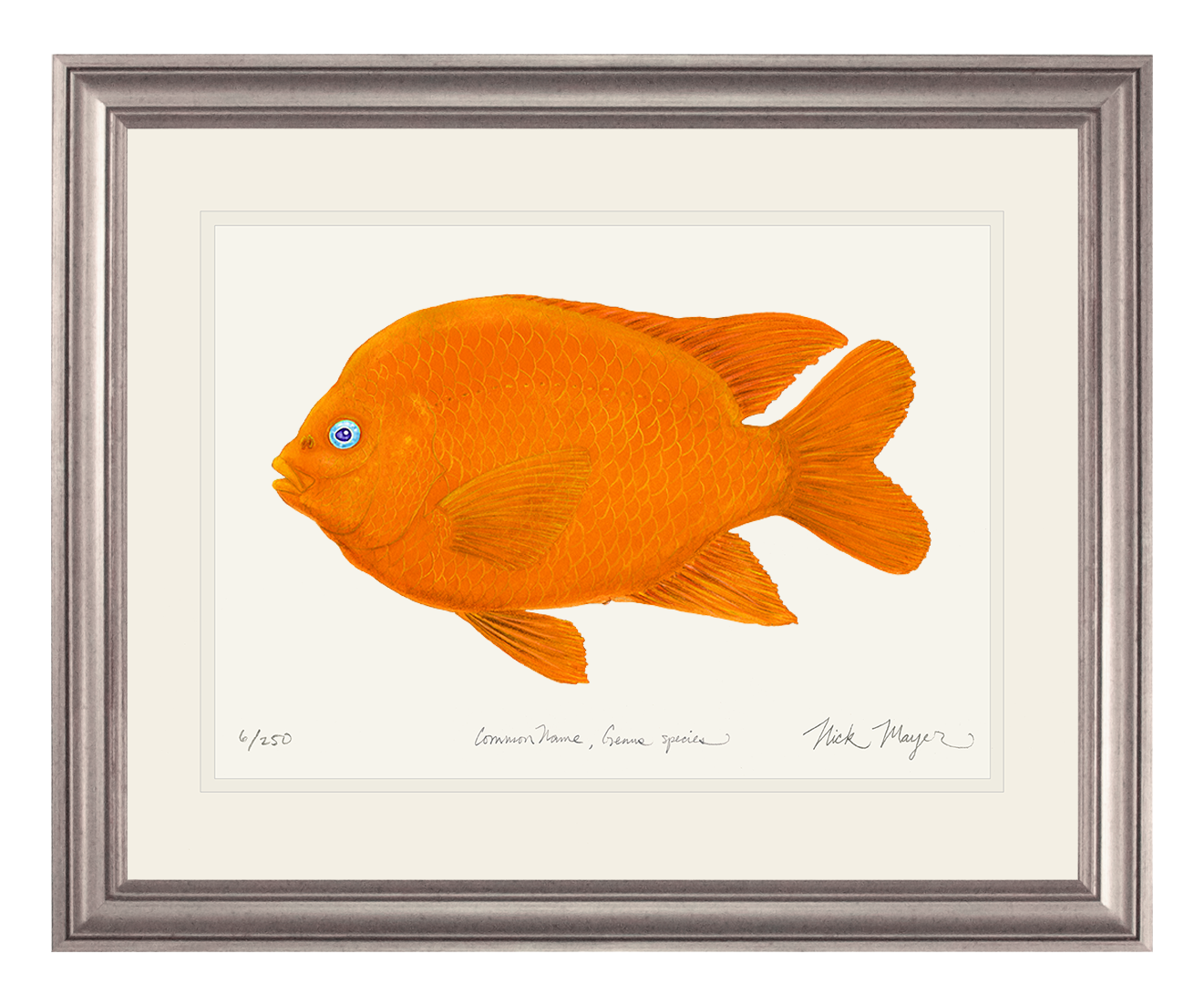 Garibaldi I Limited Edition Print