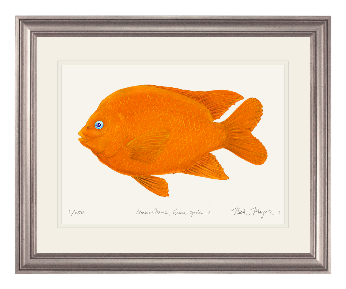 Garibaldi I Print