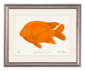 Garibaldi I Print