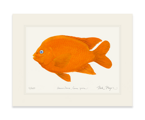 Garibaldi I Print