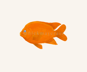 watermark
