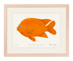 Garibaldi I Print