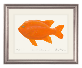 Bull Garibaldi III Print