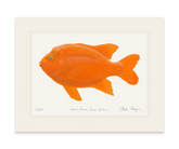 Bull Garibaldi III Print