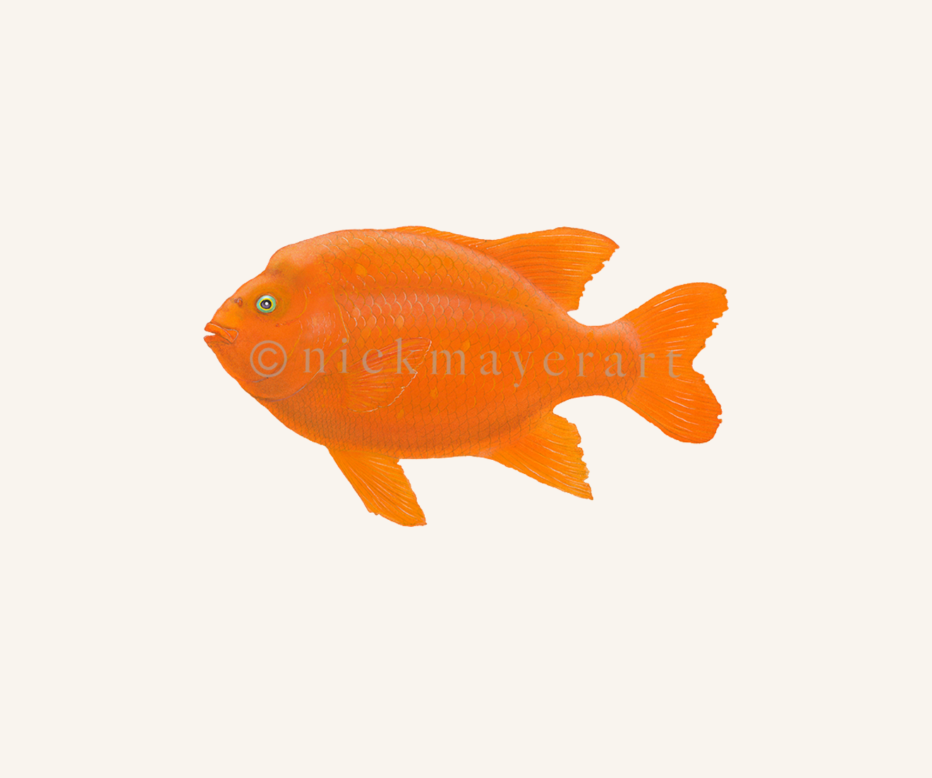 watermark
