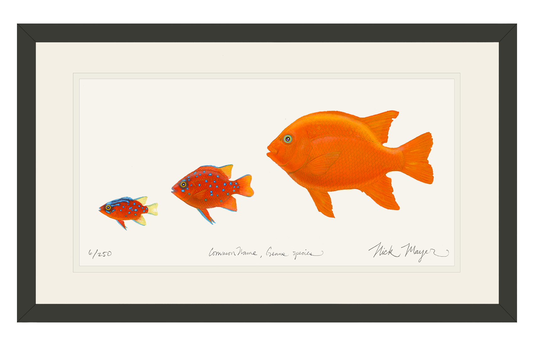 Garibaldi Phases Limited Edition Print