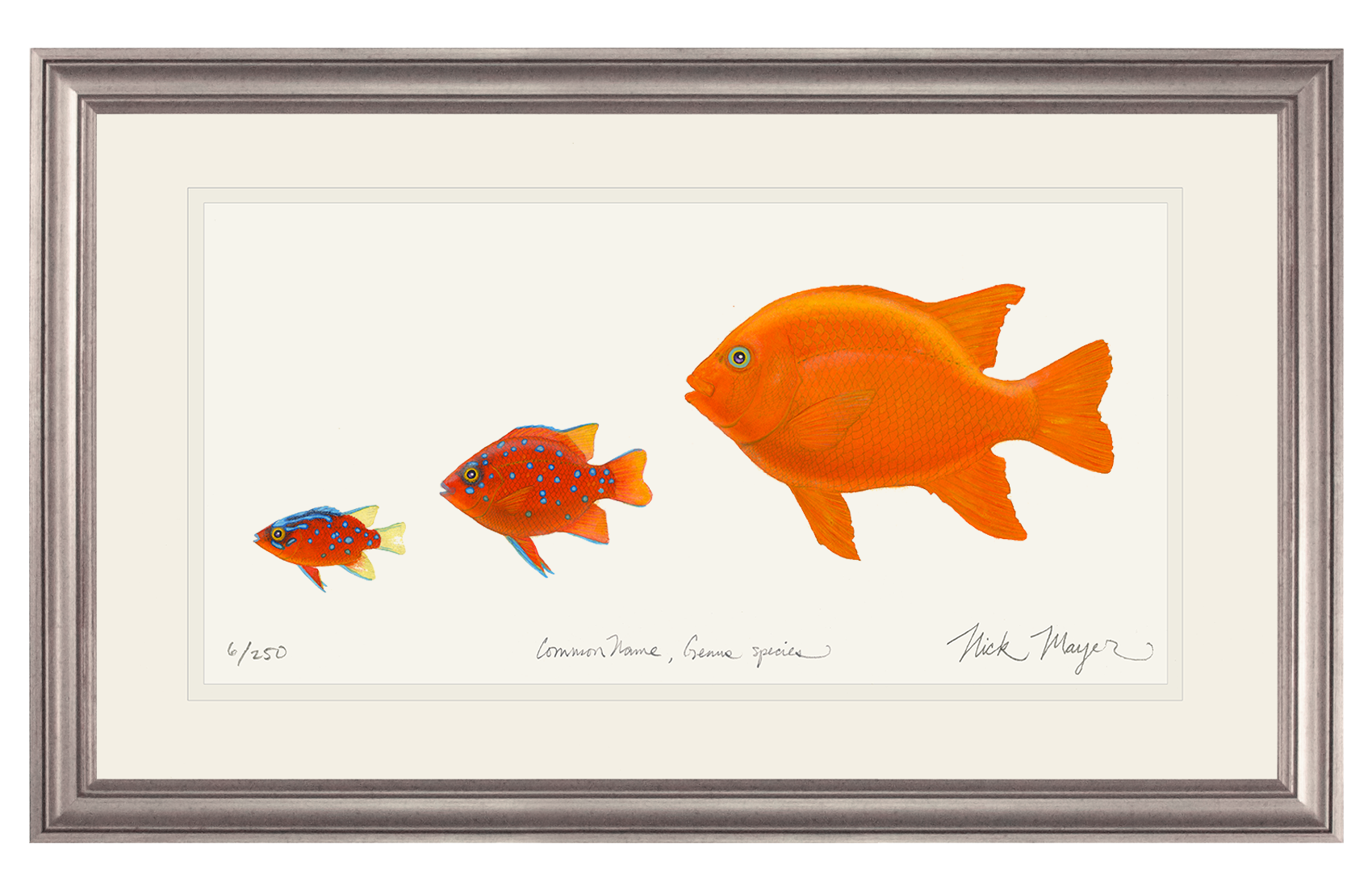 Garibaldi Phases Limited Edition Print