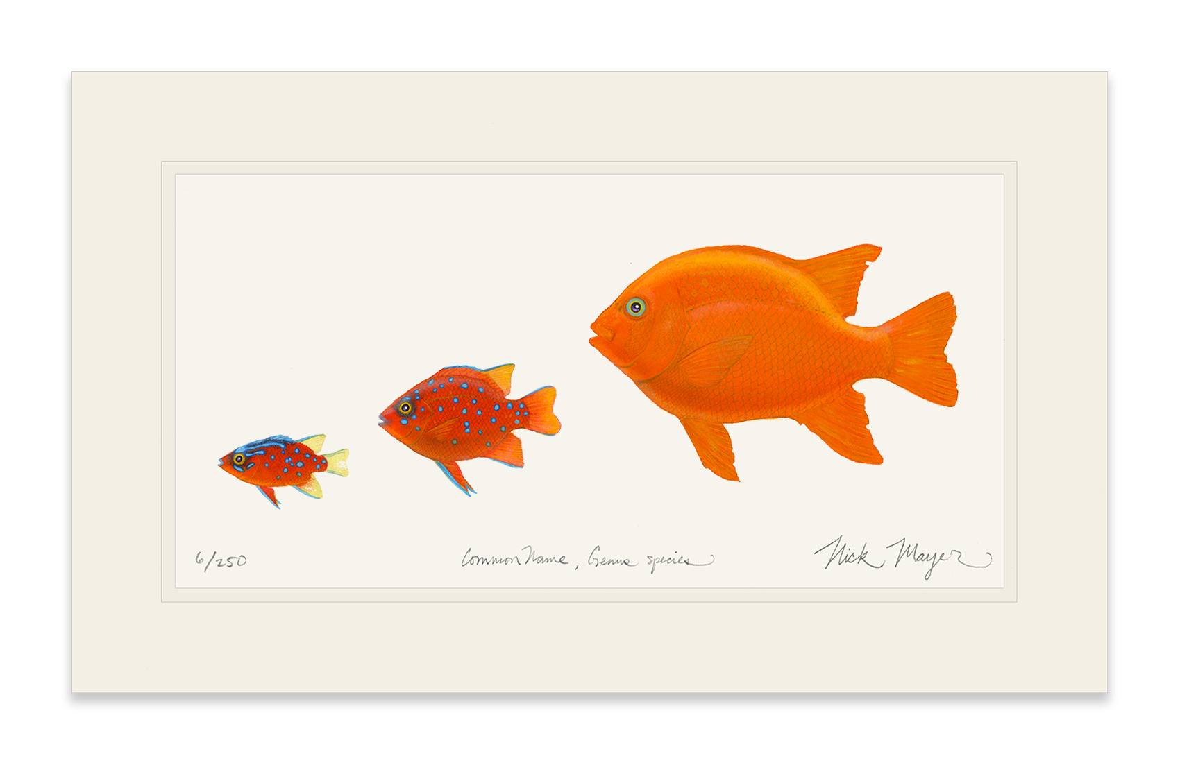 Garibaldi Phases Limited Edition Print