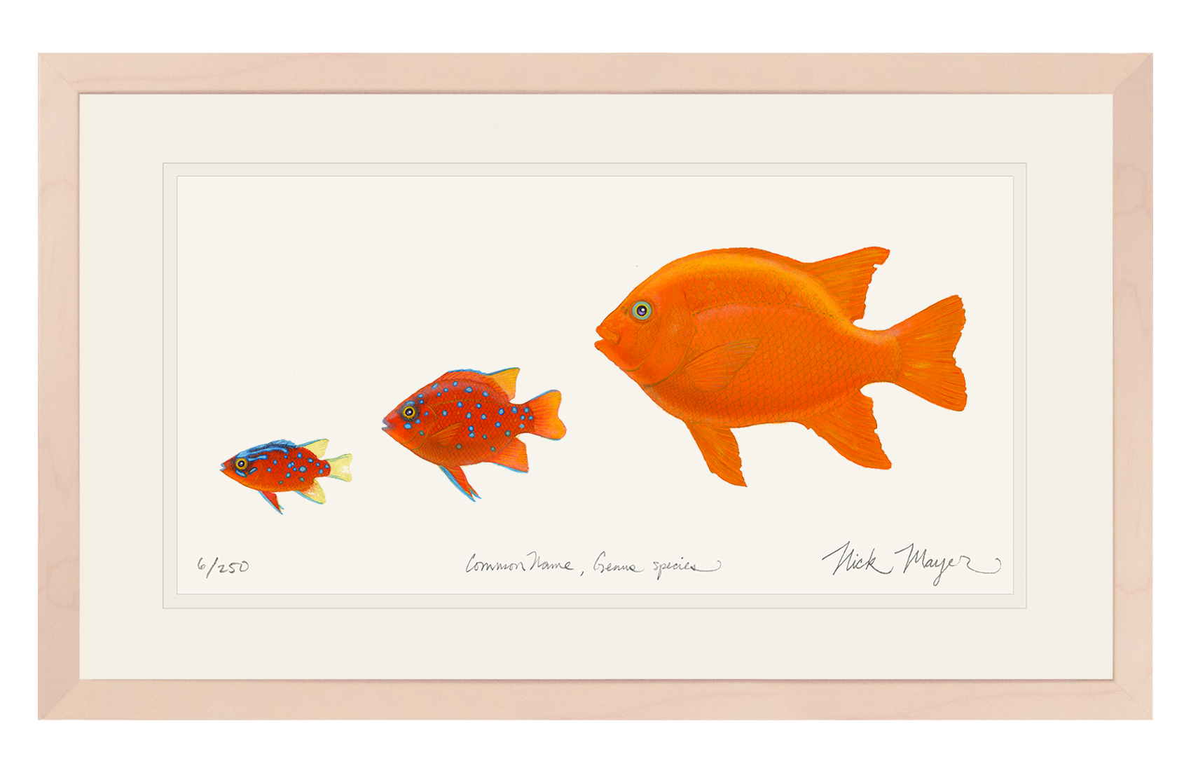 Garibaldi Phases Limited Edition Print