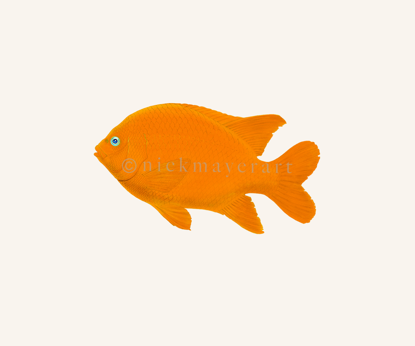 watermark