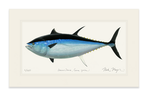 Giant Bluefin Tuna III Print