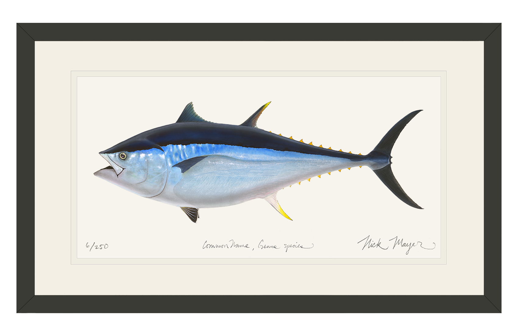 Giant Bluefin Tuna II, XXL Hand-Signed Framed Print