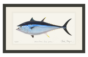 Giant Bluefin Tuna II, XXL Hand-Signed Framed Print