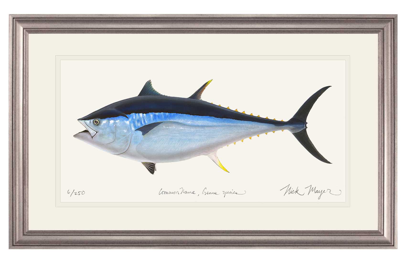 Giant Bluefin Tuna II Print