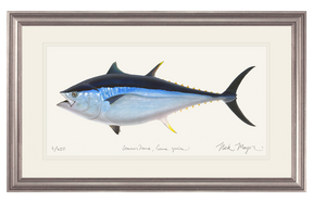 Giant Bluefin Tuna II Print