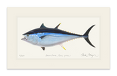 Giant Bluefin Tuna II Print