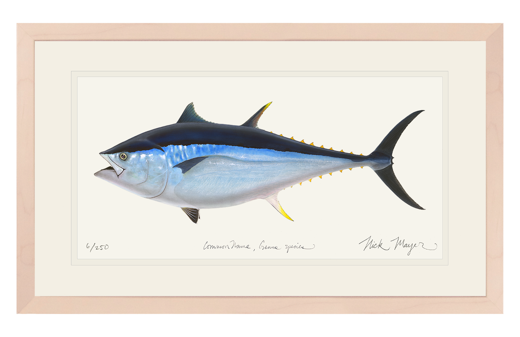 Giant Bluefin Tuna II Print - Best Seller