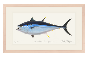 Giant Bluefin Tuna II Print