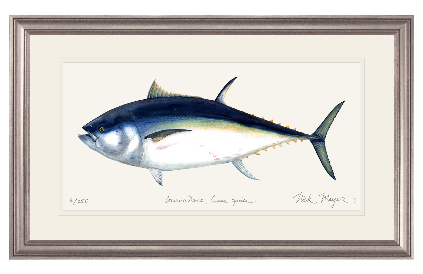Giant Bluefin Tuna I Print