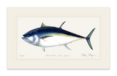Giant Bluefin Tuna I Print