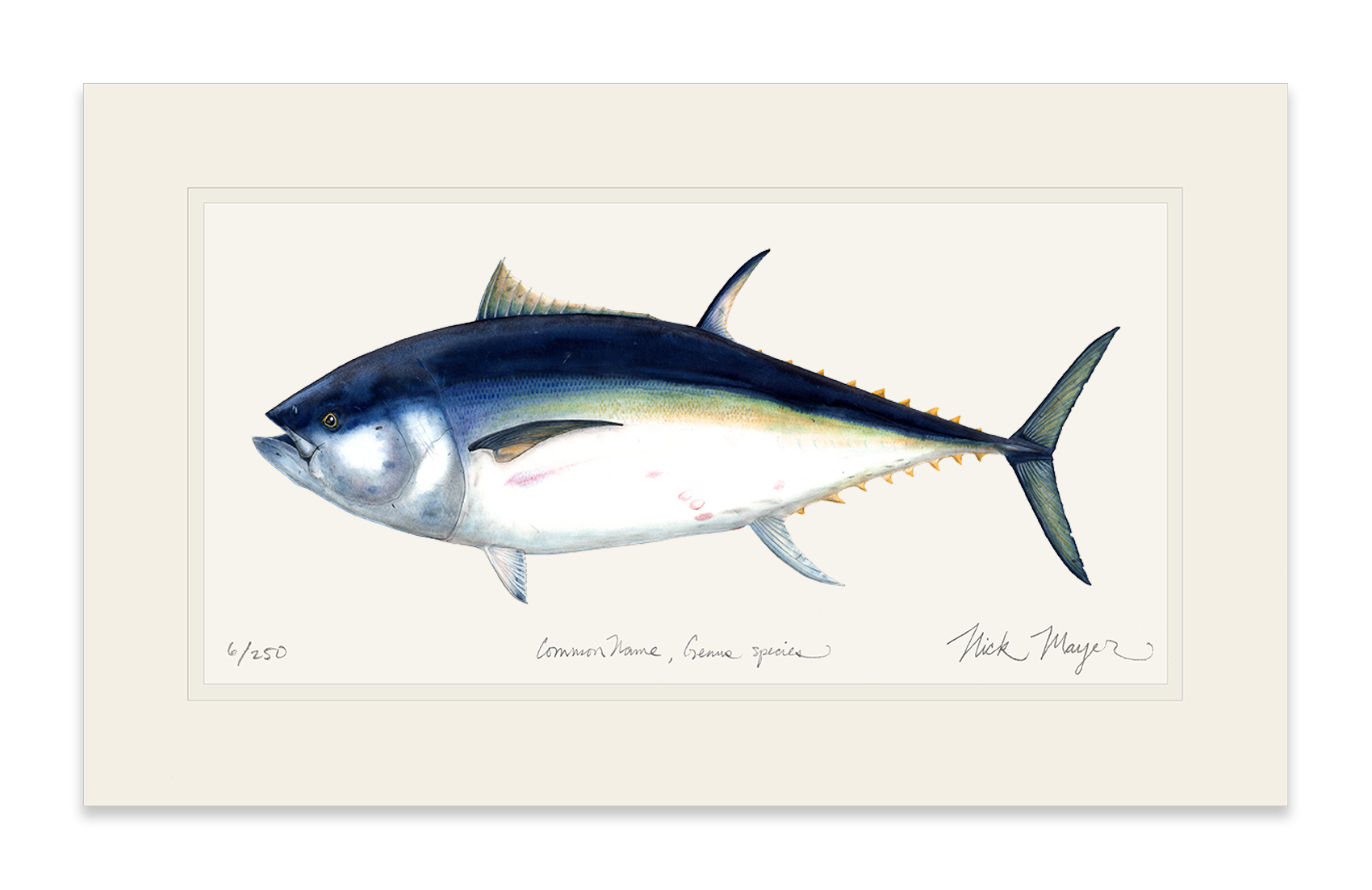 Giant Bluefin Tuna I Print