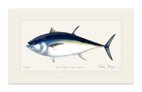 Giant Bluefin Tuna I Print