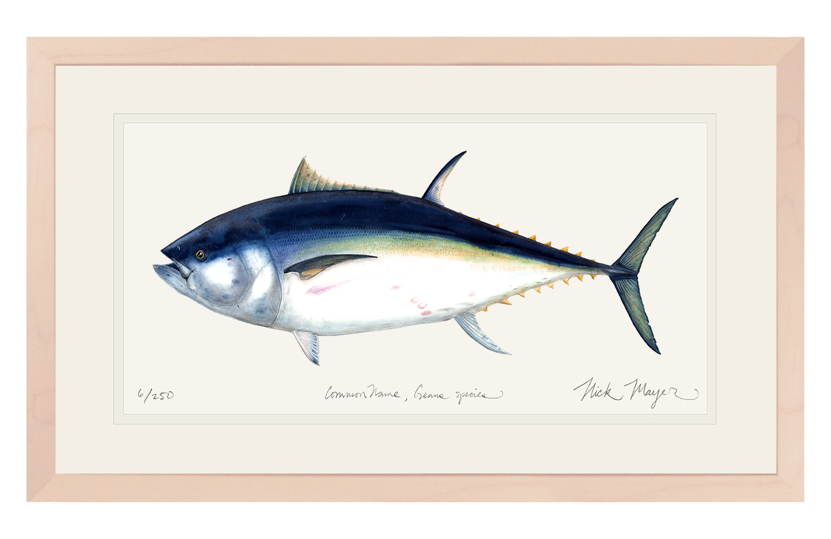 Giant Bluefin Tuna I Print