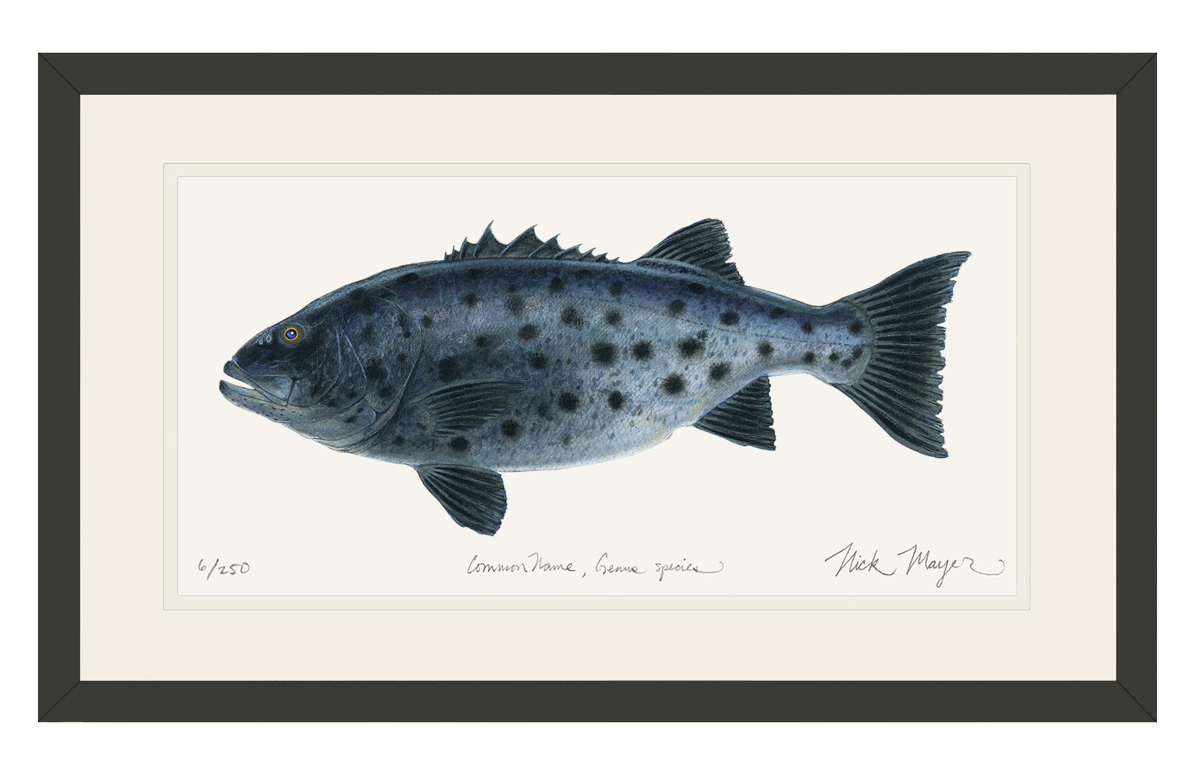 Giant Sea Bass Limited Edition Print