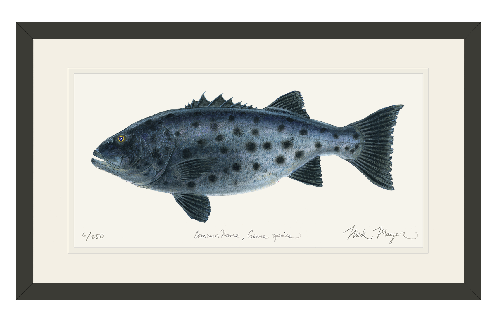 Giant Sea Bass Print