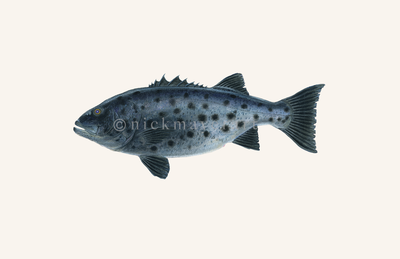 watermark
