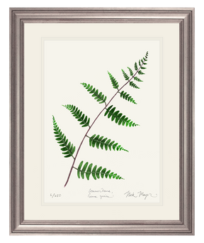 Goldie's Wood Fern Print