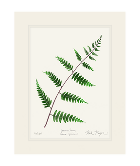 Goldie's Wood Fern Print