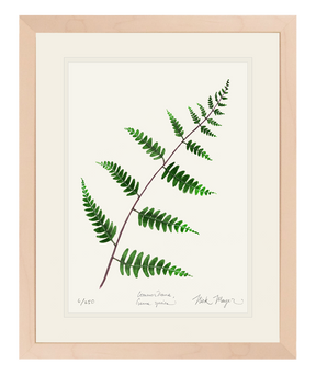 Goldie's Wood Fern Print