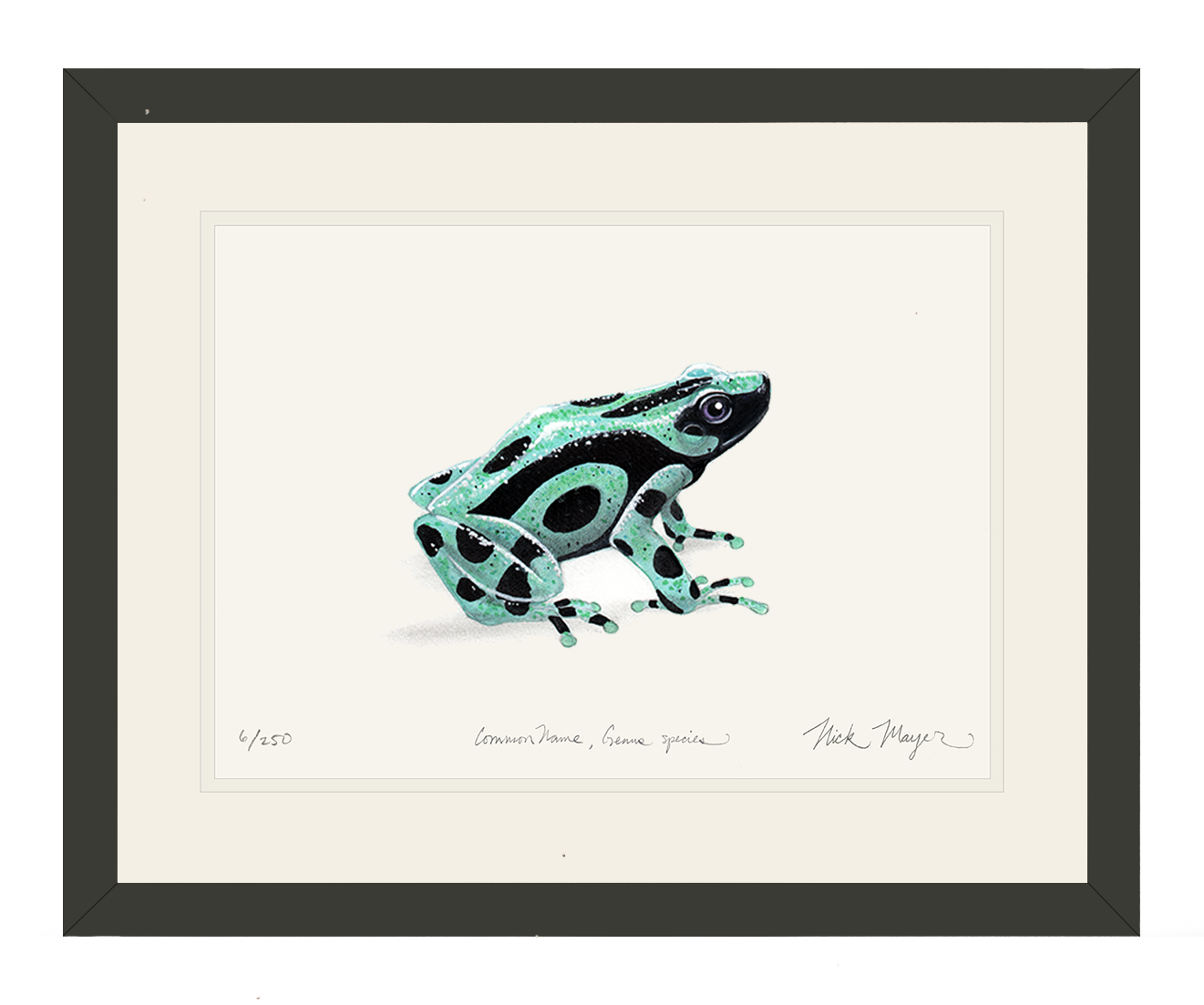 Green and Black Poison Dart Frog Original Watercolor Painting, NEW