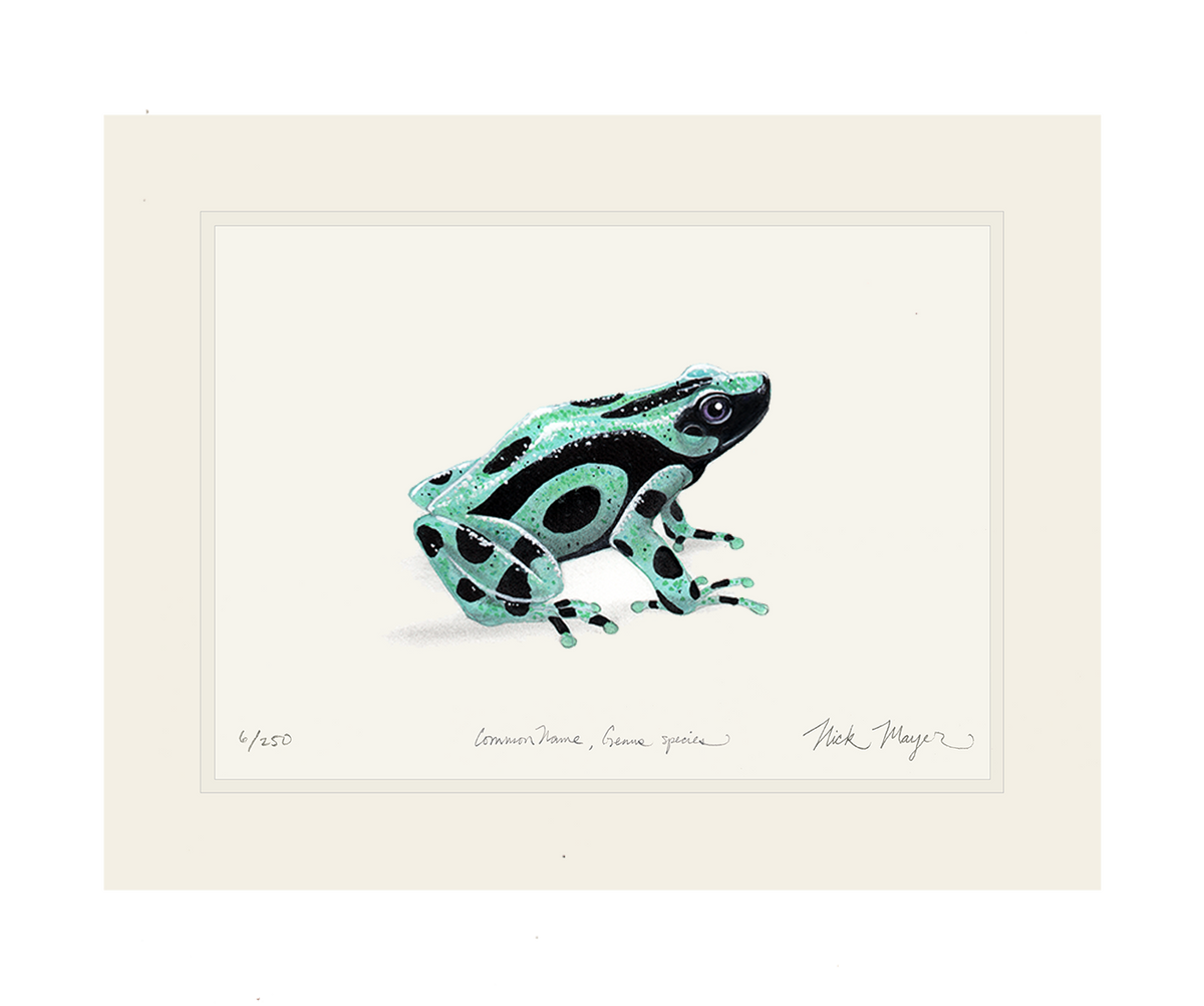 Green-Poison-Frog-Art-uf.png?v