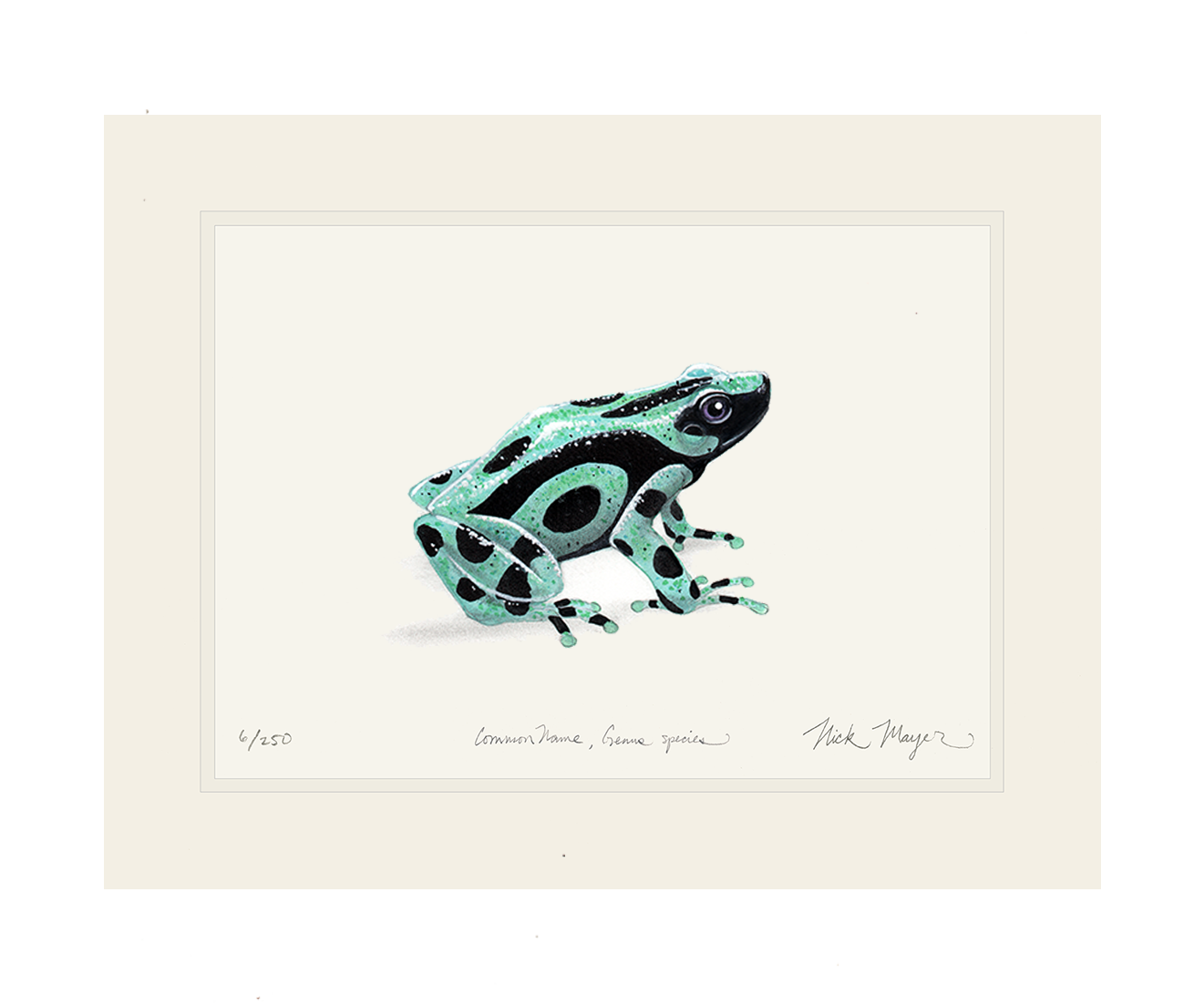 Green and Black Poison Dart Frog Print